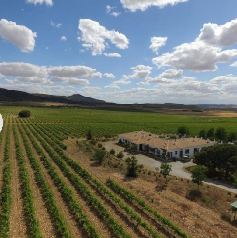 Finca El Romeral Alpera Buitenkant foto