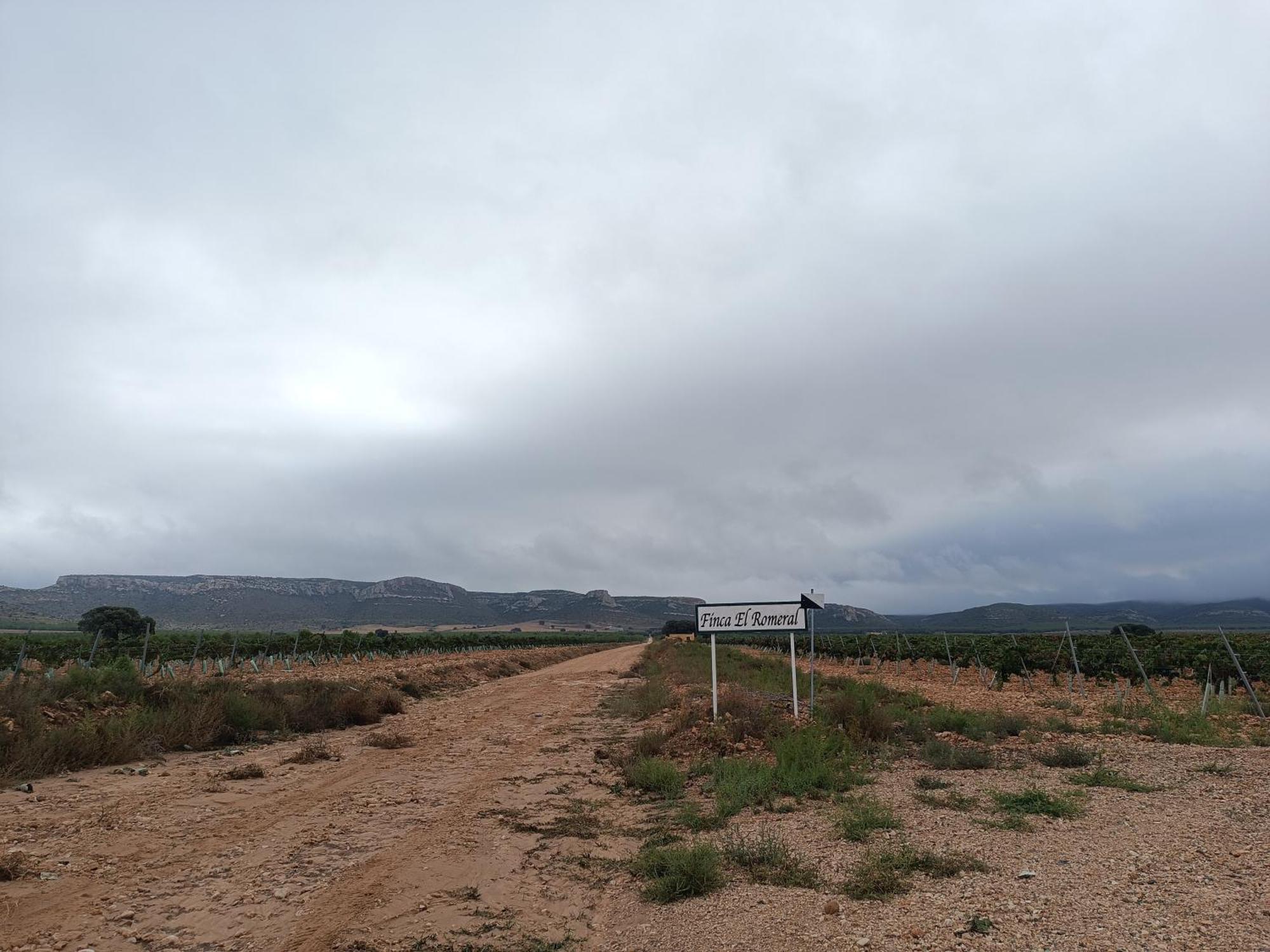 Finca El Romeral Alpera Buitenkant foto